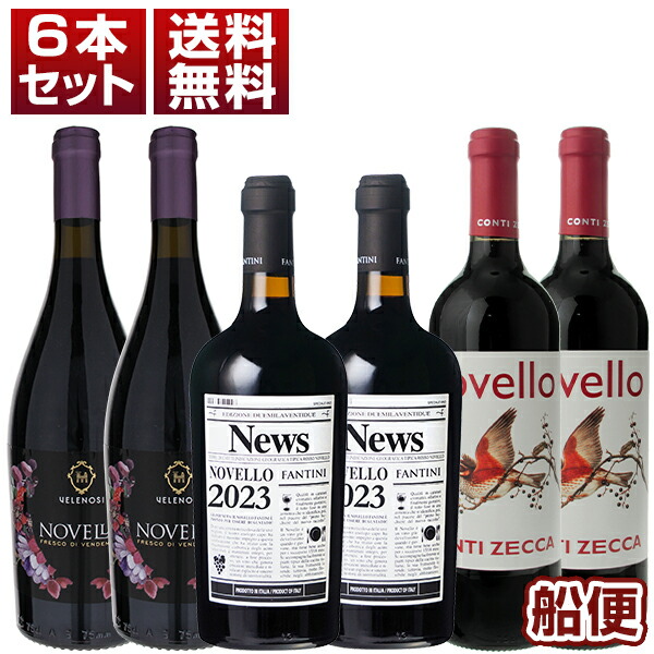[1月12日(金)以降発送予定]新酒 イタリア ノヴェッロ 2023年 ヴェレノージ ファルネーゼ コンティゼッカ 6本セット (750ml×6)