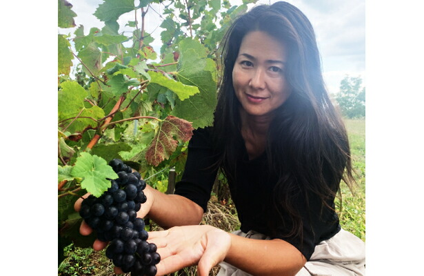 しゅんこうちぎり絵作品フランスボルドーの葡萄