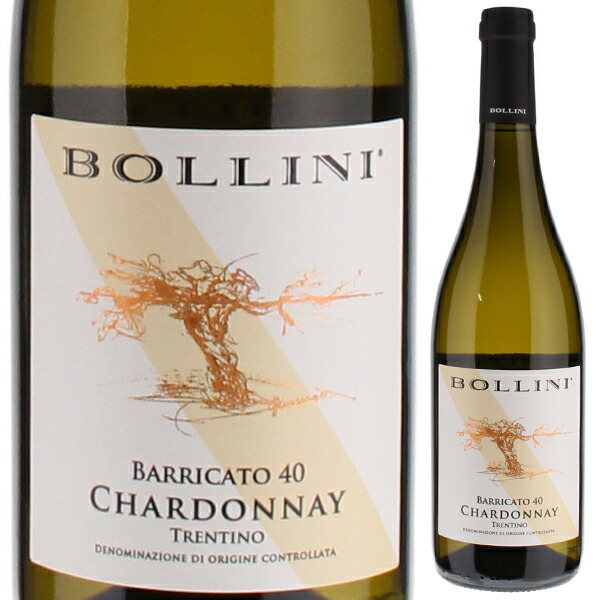 トレンティーノ シャルドネ 2024 ボッリーニ 750ml  [白]