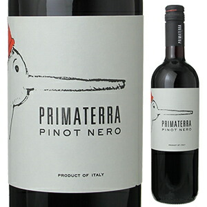 ピノ ネロ デッレ ヴェネツィエ 2019 プリマテッラ 750ml  [赤]
