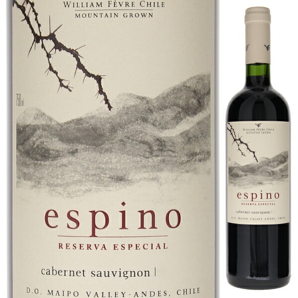 エスピノ カベルネ ソーヴィニヨン 2022 ヴィーニャ ウィリアム フェーヴル チリ 750ml  [赤]