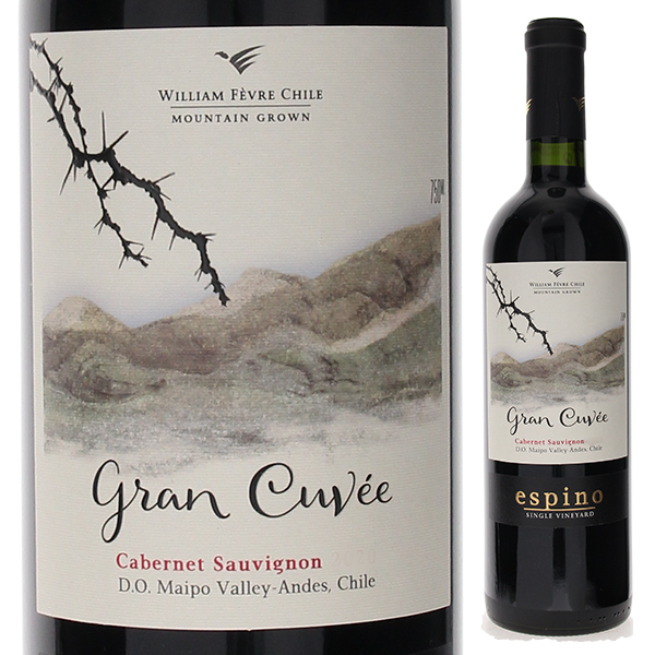 エスピノ グラン キュヴェ カベルネ ソーヴィニヨン 2022 ヴィーニャ ウィリアム フェーヴル チリ 750ml  [赤]
