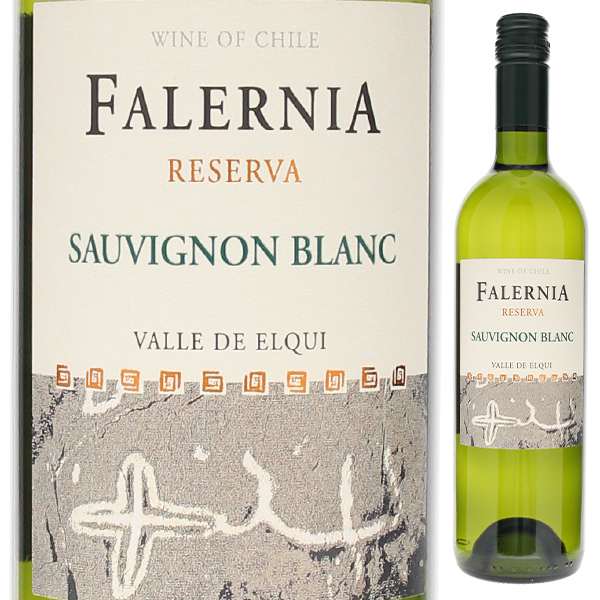 ソーヴィニヨン ブラン レゼルバ 2024 ビーニャ ファレルニア 750ml  [白]