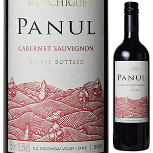 パヌール カベルネ ソーヴィニヨン 2024 ビニェードス エラスリス オバリェ 750ml  [赤] スクリューキャップ