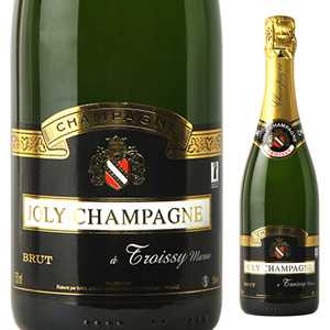 シャンパーニュ ブリュット NV ジョリー シャンパーニュ 750ml  [発泡白]