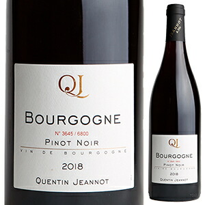 ブルゴーニュ ルージュ 2023 ドメーヌ カンタン (フィリップ) ジャノ 750ml  [赤]