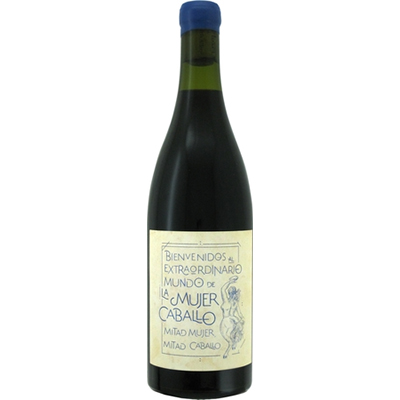 プンタ エセンツィア 2019 ボデガス イ ビニェードス ネオ 750ml  [赤]