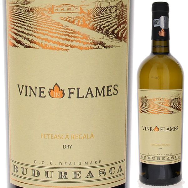ヴァイン イン フレイム フェテアスカ レガーラ 2023 ヴィル ブドゥレアスカ 750ml  [白]