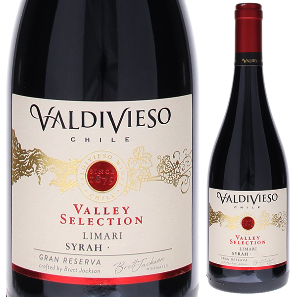 ヴァレー セレクション シラー 2021 ビーニャ バルディビエソ 750ml  [赤]