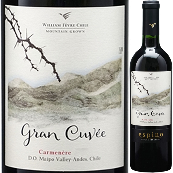 エスピノ カルムネール グラン キュヴェ 2019 ヴィーニャ ウィリアム フェーヴル チリ 750ml  [赤]