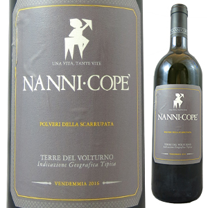 テッレ デル ヴォルトゥルノ ポルヴェリ デラ スカルパタ 2016 ナンニ コペ 750ml  [白] 自然派