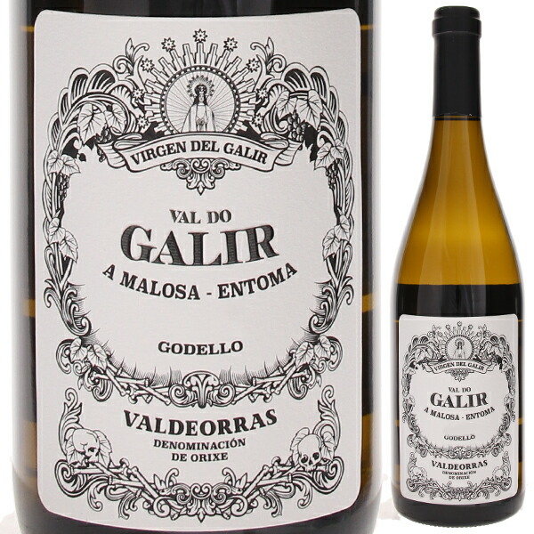 バル ド ガリル ゴデーリョ 2024 ボデガス ビルシェ デ ガリル 750ml  [白]