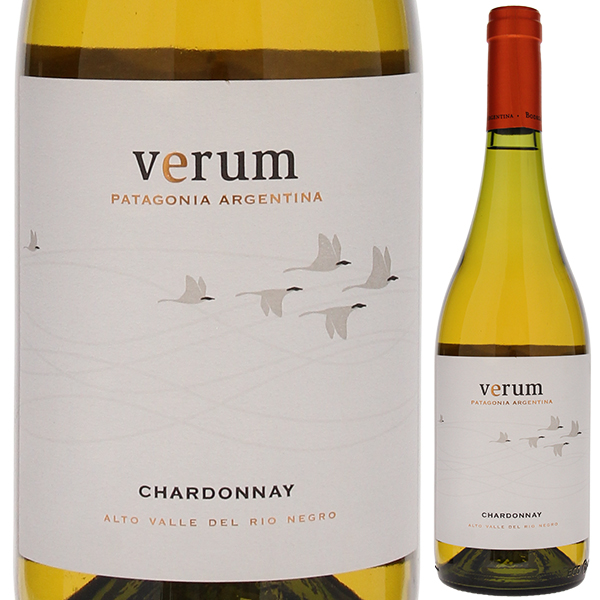 パタゴニア シャルドネ 2016 ヴェルム バイ ヴェルム 750ml  [白]