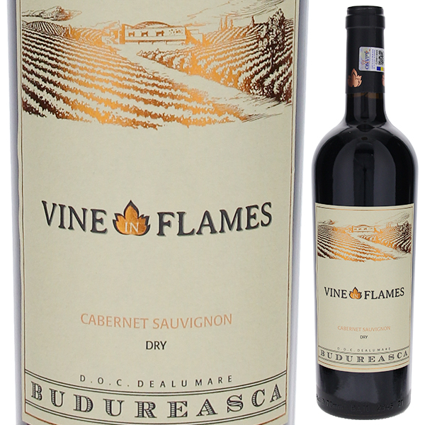 ヴァイン イン フレイム カベルネ ソーヴィニヨン 2021 ヴィル ブドゥレアスカ 750ml  [赤]