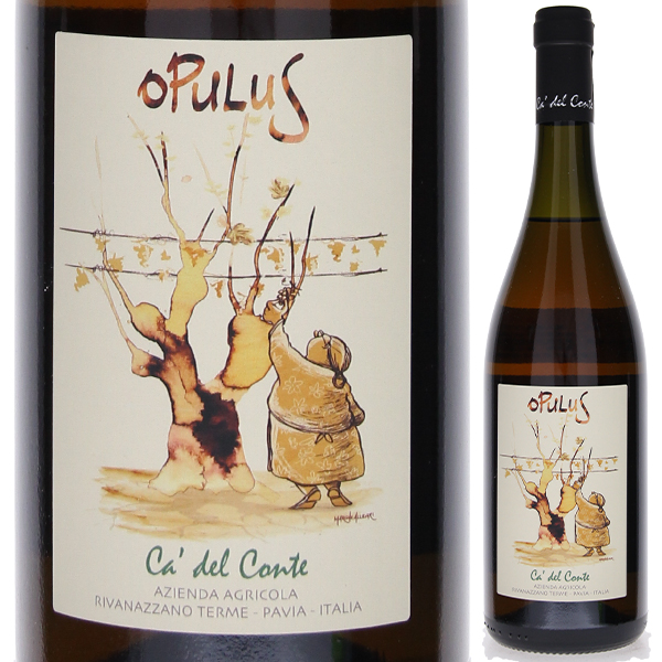オプルス 2020 カ デル コンテ 750ml  [白] [オレンジワイン]  自然派