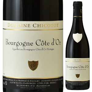 ブルゴーニュ コート ドール 2022 ドメーヌ ジョルジュ シコト 750ml  [赤]