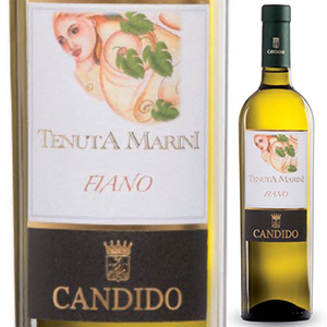 テヌータ マリニ フィアーノ サリーチェ サレンティーノ 2018 カンディド 750ml  [白]