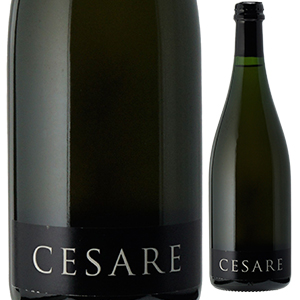 チェーザレ 2017 ピアーナ デイ カステッリ 750ml  [発泡ロゼ] 自然派