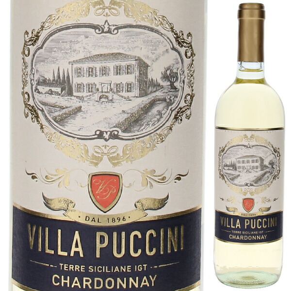 シャルドネ テッレ シチリアーネ 2024 ヴィラ プッチーニ 750ml  [白]