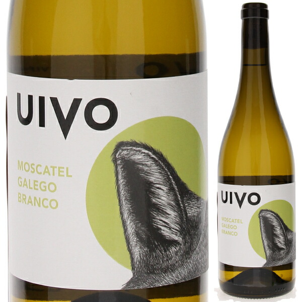 ヴィヴォ モスカテル ガレゴ ブランコ 2022 フォリアス デ バコ 750ml  [白] 自然派