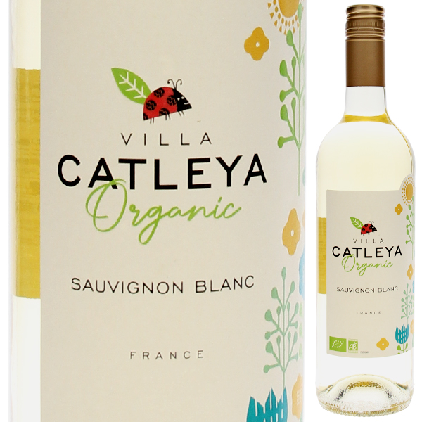 オーガニック ソーヴィニョン 2023 ヴィッラ カトレヤ 750ml  [白]