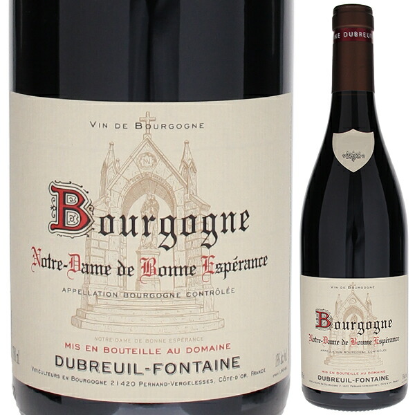 ブルゴーニュ ピノ ノワール ノートル ダム ド ボンヌ エスペランス 2023 ドメーヌ デュブルイユ フォンテーヌ 750ml  [赤]