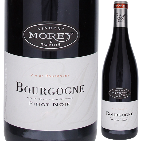 ブルゴーニュ ピノ ノワール 2021 ヴァンサン エ ソフィー モレ 750ml  [赤]