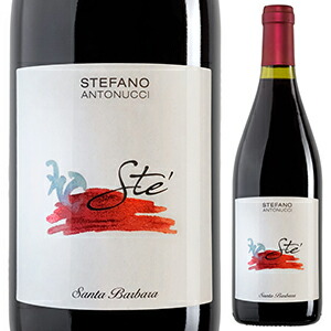 ステ ロッソ ピチェーノ 2021 サンタ バルバラ 750ml  [赤]