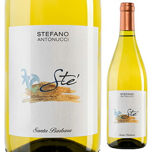 ステ ヴェルディッキオ 2021 サンタ バルバラ 750ml  [白]