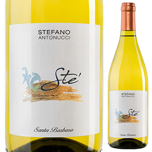 [375ml]ステ ヴェルディッキオ 2018 サンタ バルバラ [白] [ハーフボトル]