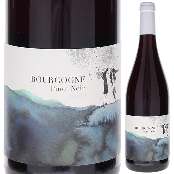 ブルゴーニュ ルージュ 2022 ナイマ エ ダヴィド ディドン 750ml  [赤] 自然派