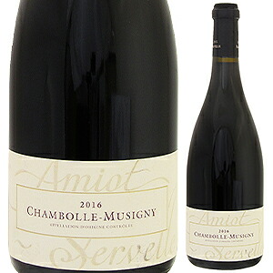 シャンボール ミュジニー 2022 ドメーヌ アミオ セルヴェル 750ml  [赤]