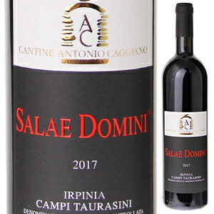 サラエ ドミーニ 2020 アントニオ カッジャーノ 750ml  [赤]