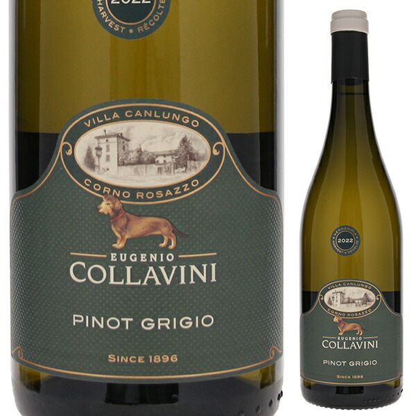 ピノ グリージョ 2023 コッラヴィーニ 750ml  [白]