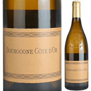 ブルゴーニュ コート ドール ブラン 2023 ドメーヌ フィリップ シャルロパン 750ml  [白]