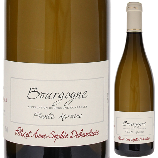 ブルゴーニュ ブラン プラント モレーヌ 2022 ドメーヌ ロワ マージュ 750ml  [白]