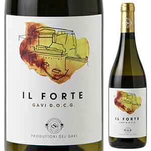 ガヴィ イル フォルテ 2019 カンティーナ プロドゥットーリ デル ガヴィ 750ml  [白]