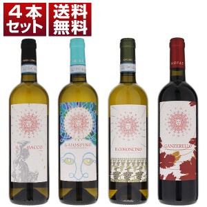 自然派ヴェルディッキオのパイオニア「ファットリア コロンチーノ」を満喫する赤白4本セット (750ml×4)