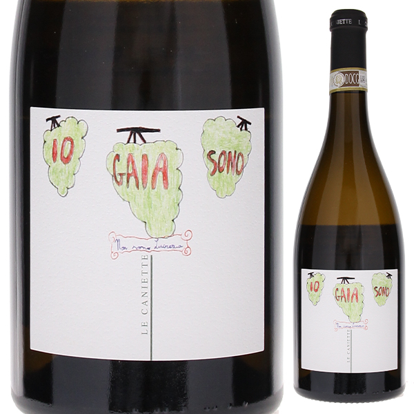 ★本日期間限定イタリア製 アコーディオン セッテミオソプラーニお勧め 激レア Settimio Soprani セッティミオソプラーニ