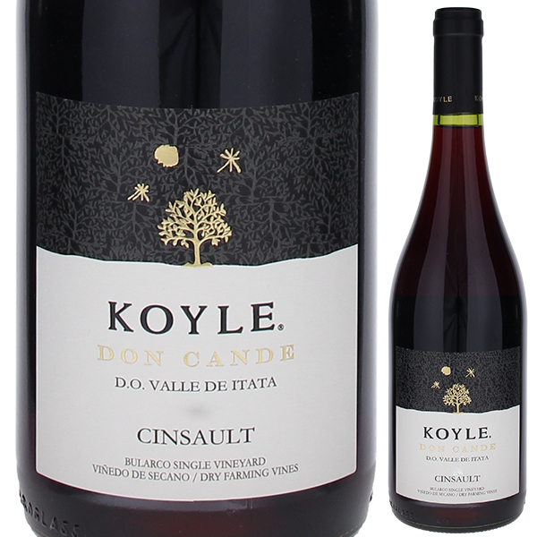 ドン カンデ サンソー 2021 コイレ 750ml  [赤]