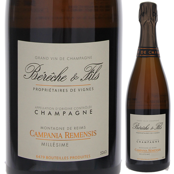 カンパニア レメンシス ロゼ エクストラ ブリュット 2020 ベレッシュ エ フィス 750ml  [発泡ロゼ]