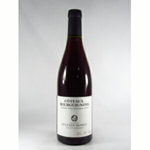 コトー ブルギニョン 2023 シルヴァン モレ 750ml  [赤]