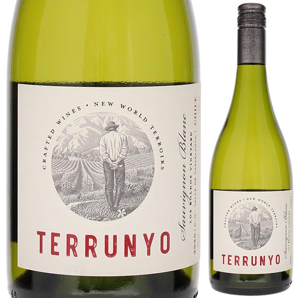 テルーニョ ソーヴィニヨン ブラン 2023 コンチャ イ トロ 750ml  [白]