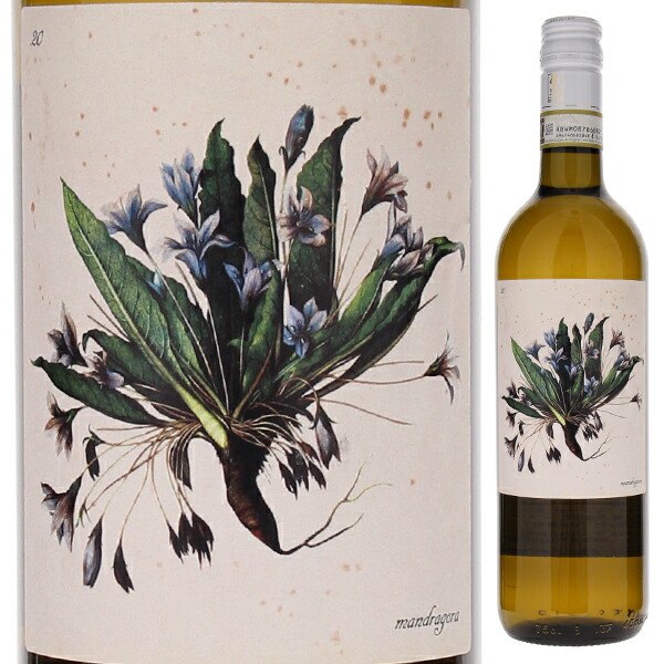 デリウス 2021 マルタ ヴァルピアーニ 750ml  [白]