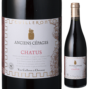 シャテュス ヴァン ド フランス 2020 ドメーヌ イヴ キュイユロン 750ml  [赤]