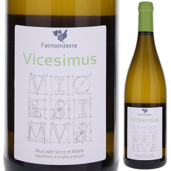 ヴィチェシーモス 2020 フェルメンテール 750ml  [白] 自然派