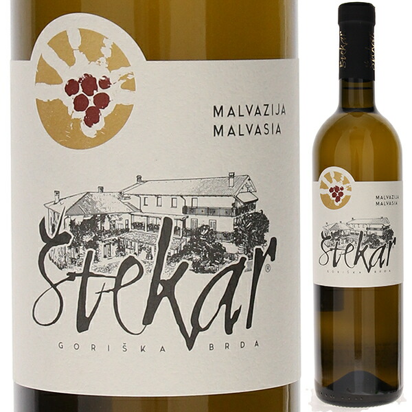 マルヴァジア 2024 シュテッカー 750ml  [白] [オレンジワイン]  マルヴァジーア