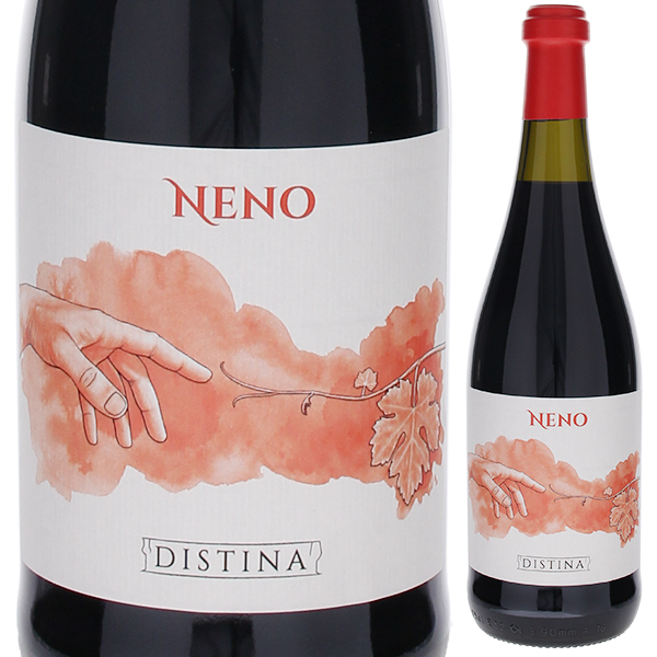 ネーノ 2021 ディスティーナ 750ml  [赤]