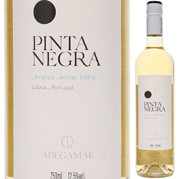 ピンタ ネグラ ブランコ 2022 アデガマイン 750ml  [白]