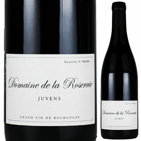 ボーヌ ジュヴァン 2021 ドメーヌ ド ラ ロズレー 750ml  [赤] 自然派